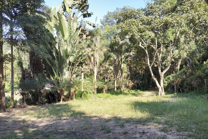 Property Grounds 19 of 34