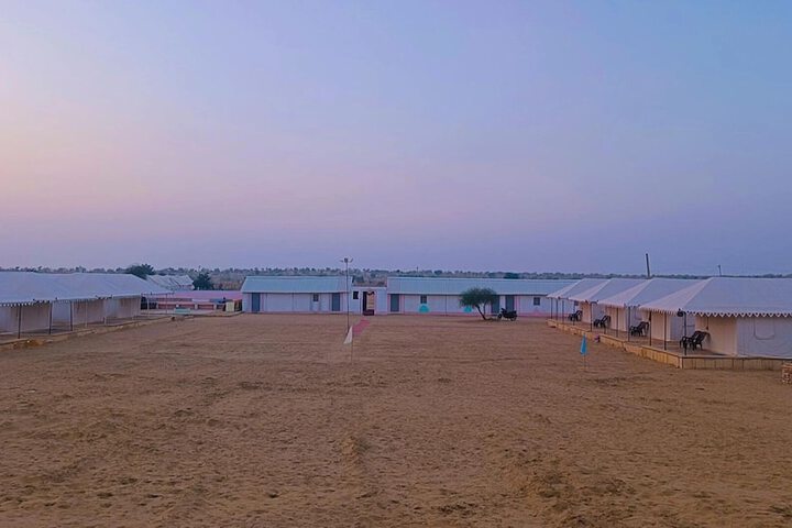 Star view desert camp in Jaisalmer