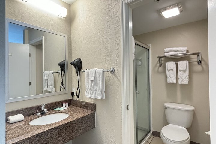 1 King Bed Deluxe Accessible Room Roll in Shower with Grab Bars (12 of 17)