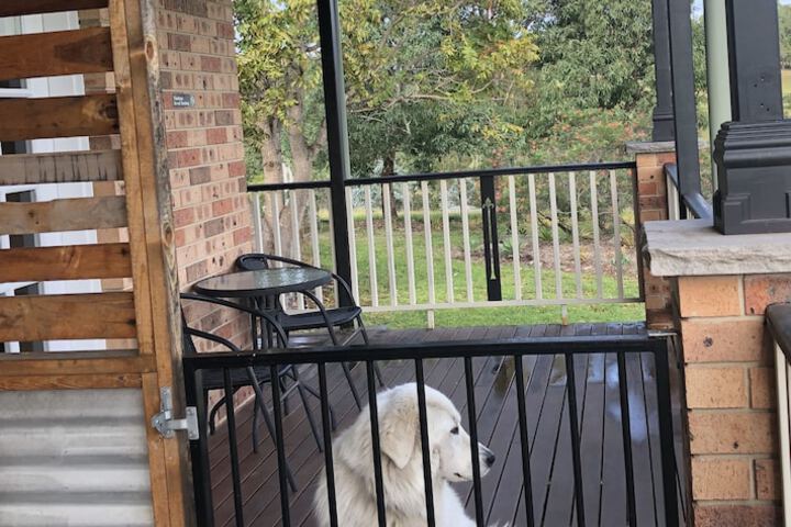 Terrace/Patio 12 of 33