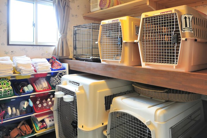 Pet-friendly