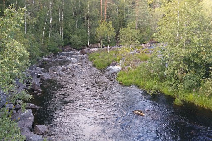 Property Grounds 40 of 54