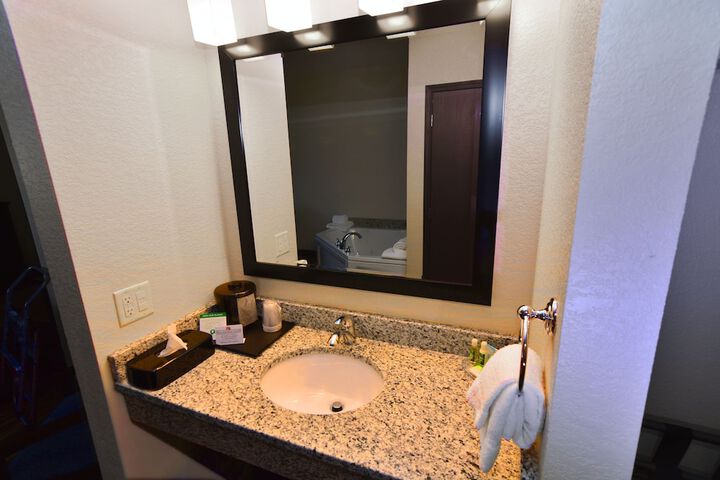 1 King Bed Suite (40 of 44)