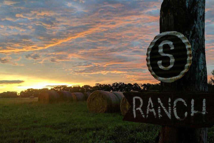 Property Grounds 71 of 85