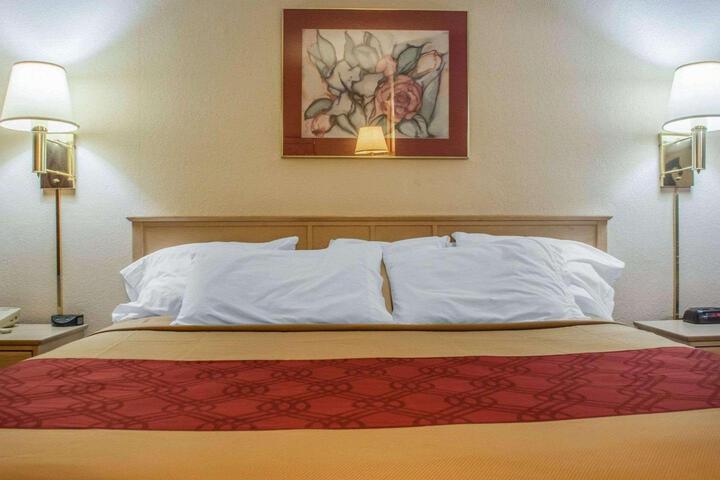 1 King Bed (4 of 20)