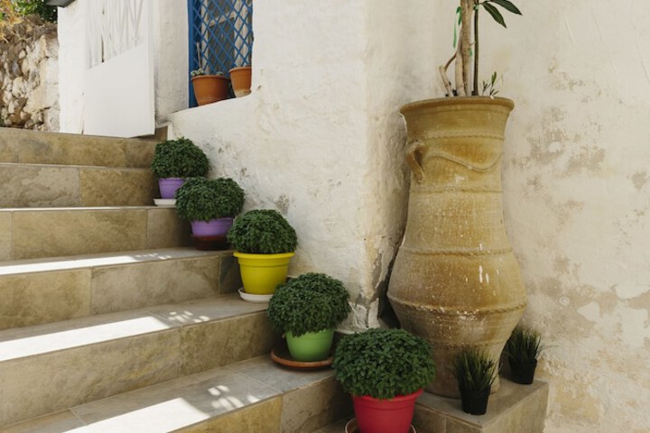 Terrace/Patio 26 of 36