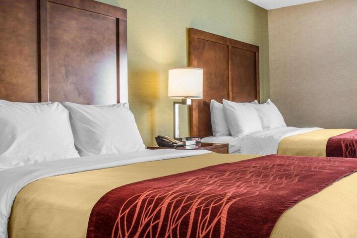 2 Queen Beds (4 of 9)