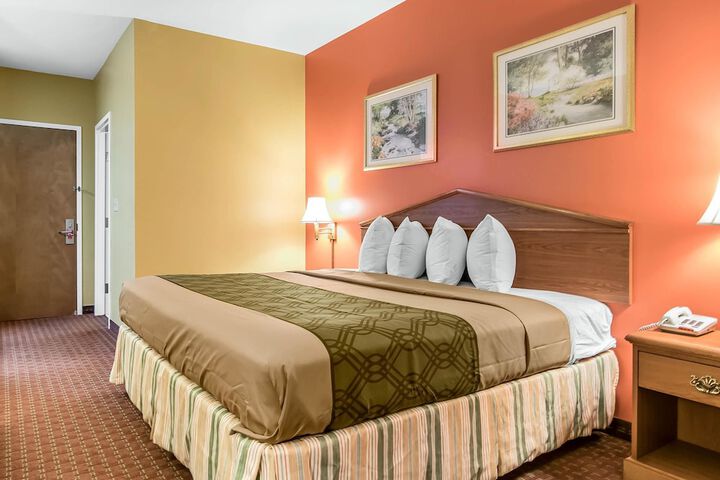 1 King Bed (17 of 22)