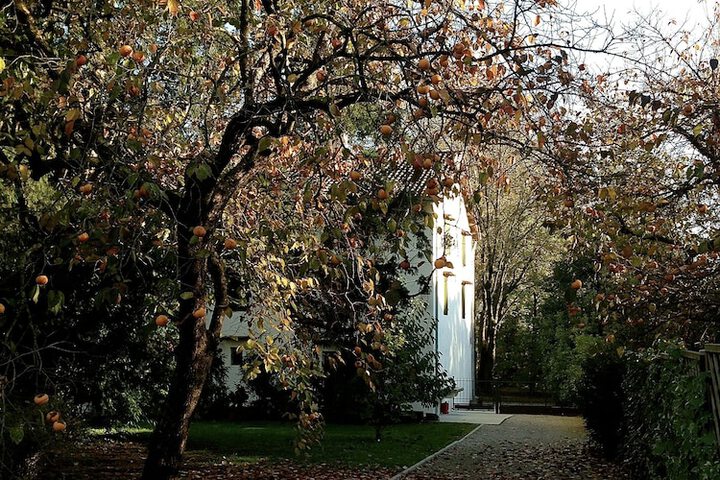 Property Grounds 22 of 38