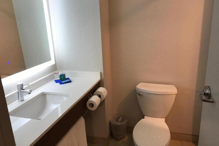 1 King Bed Standard Mobility Accessible Tub (13 of 21)
