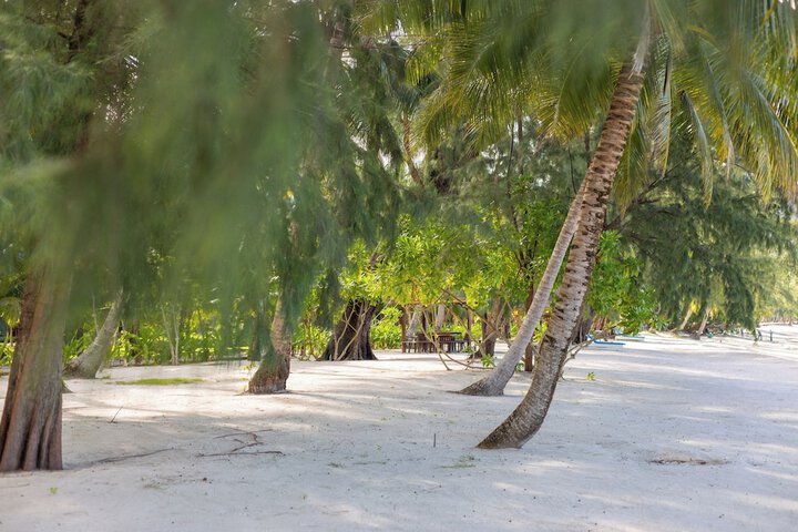 Beach 171 of 207
