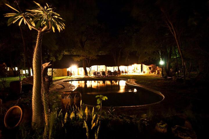 Miombo Safari Camp