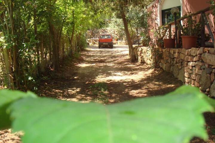 Property Grounds 33 of 44