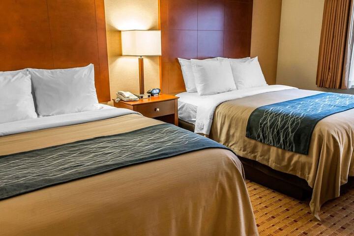 2 Queen Beds (9 of 14)
