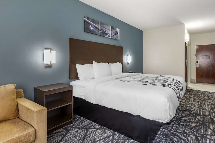 1 King Bed (3 of 8)