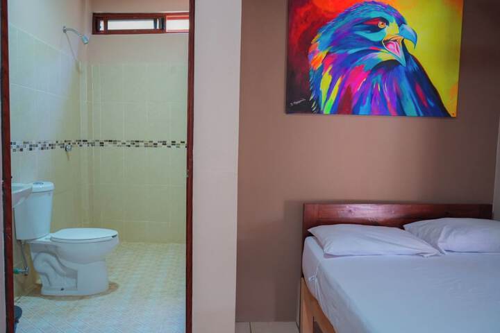 Room 42 of 52