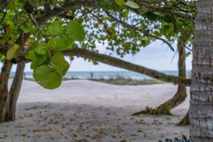 Beach 6 of 31