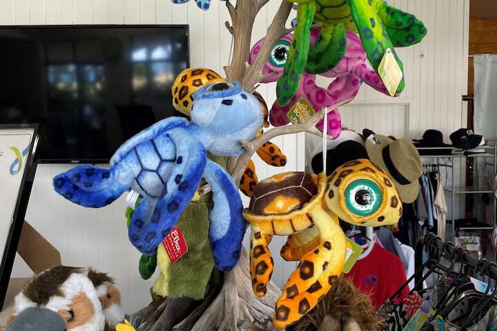 Gift Shop 84 of 193