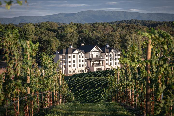 Nicewonder Farm &  Vineyard in Bristol, VA