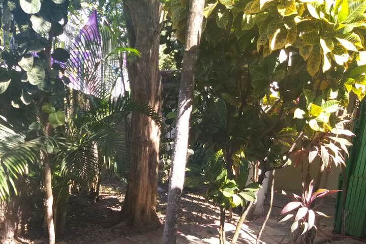 Club Tropical de los Santos