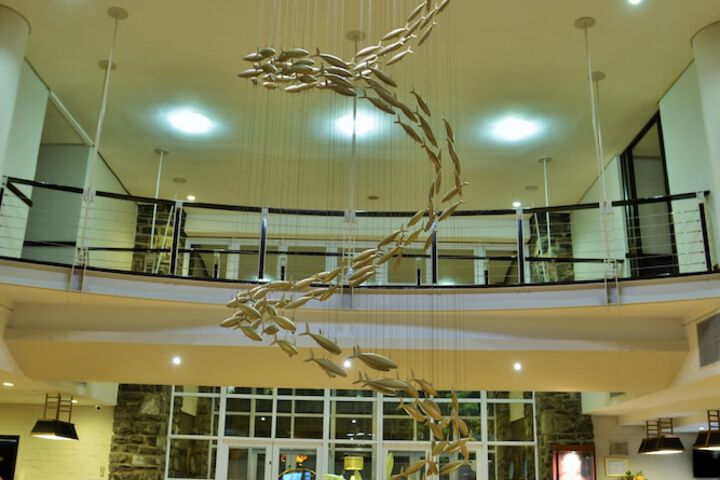 Entrance & Lobby