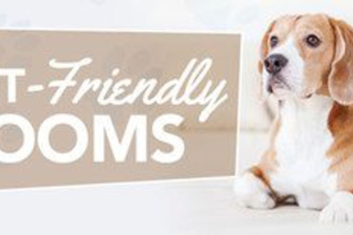 Pet Friendly 23 of 27