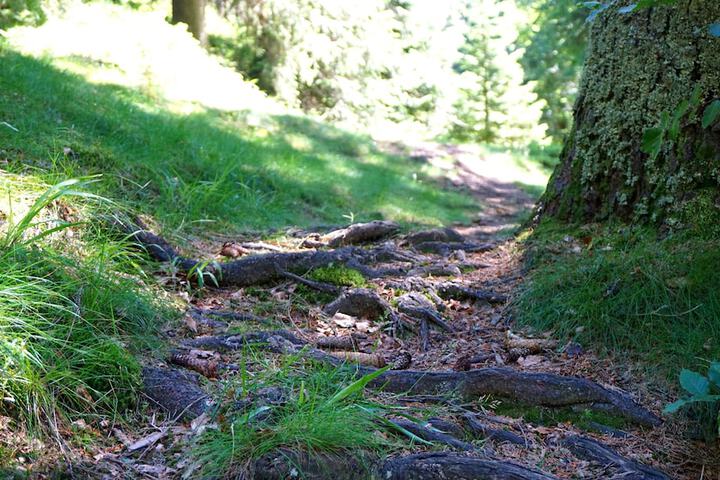 Hiking