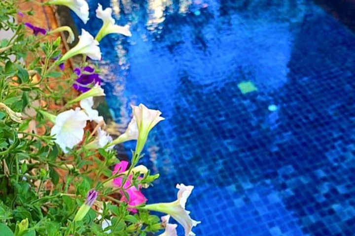 Pool Hotel