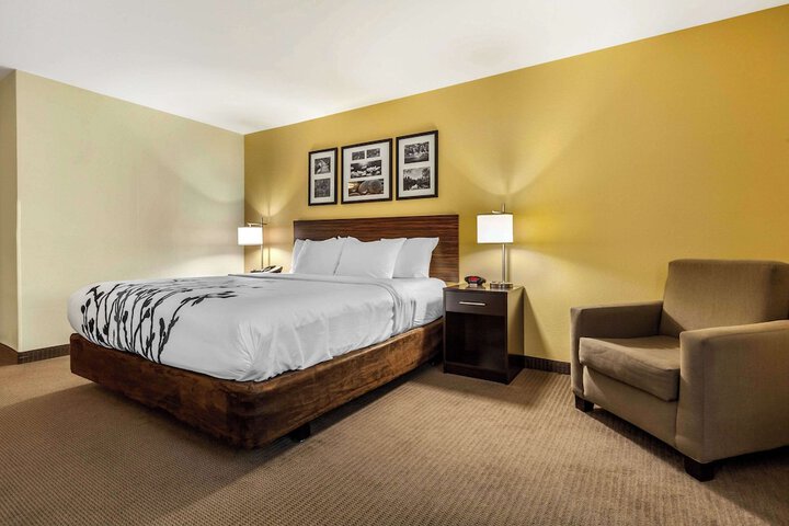 1 King Bed Accessible (11 of 18)