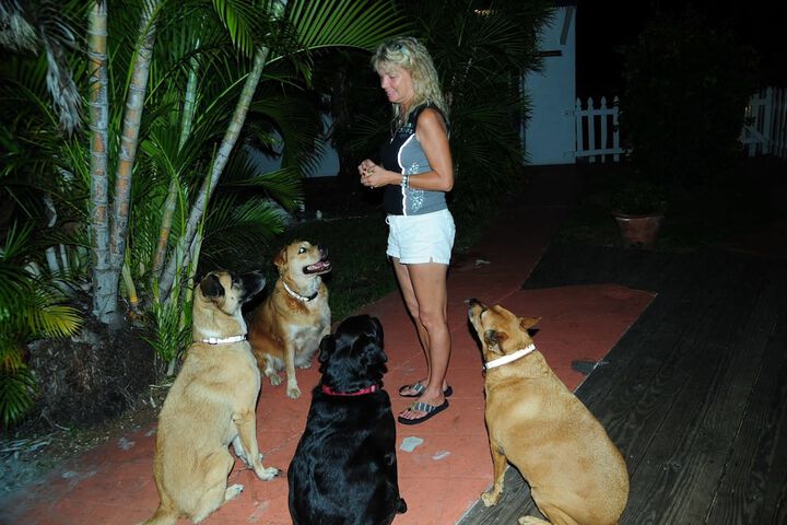 Terrace/Patio 21 of 26