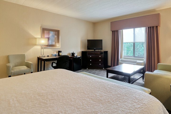 1 King Hearing Accessible Studio with Sofa Bed (1 of 19)