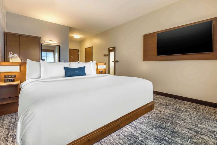 1 King Bed Accessible (15 of 16)