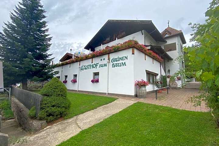 GASTHOF ZUM GRUENEN BAUM