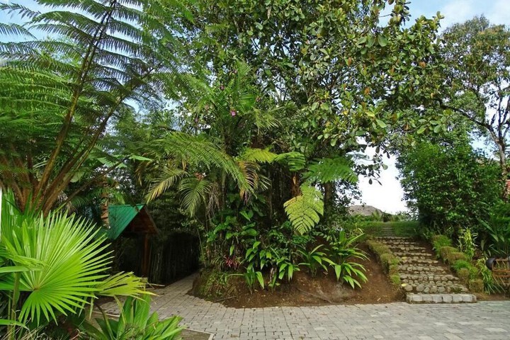 Property Grounds 39 of 45