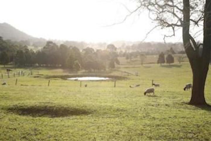 Property Grounds 5 of 6