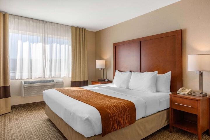 Standard | King Bed (13 of 21)
