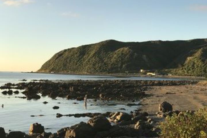 Beach 7 of 23