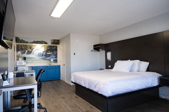 1 King Bed Pet Friendly Accessible (25 of 90)