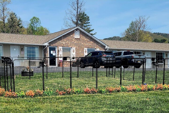 Pet-friendly amenities