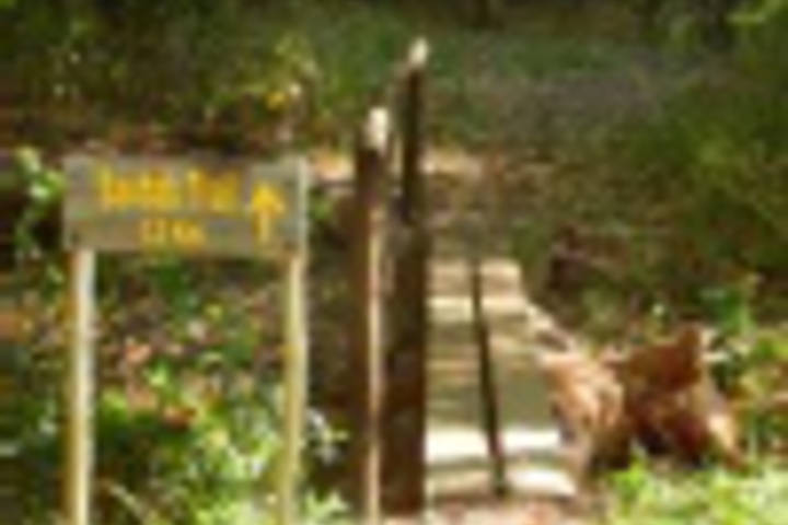 Outdoor Activities 16 of 792