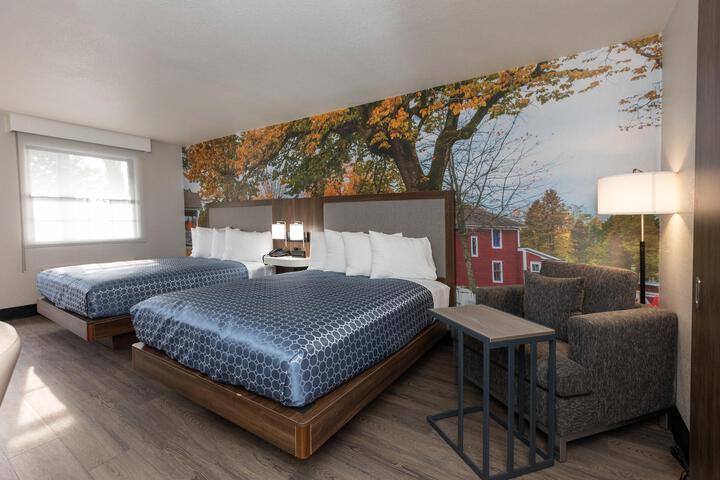 Suite 1 King Bed Larger Room Floor To Ceiling Windows Work Desk Microwave and Refrigerator Air Conditioned Continental Breakfast (13 of 14)