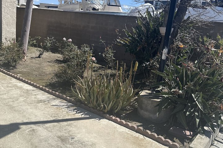 Garden view