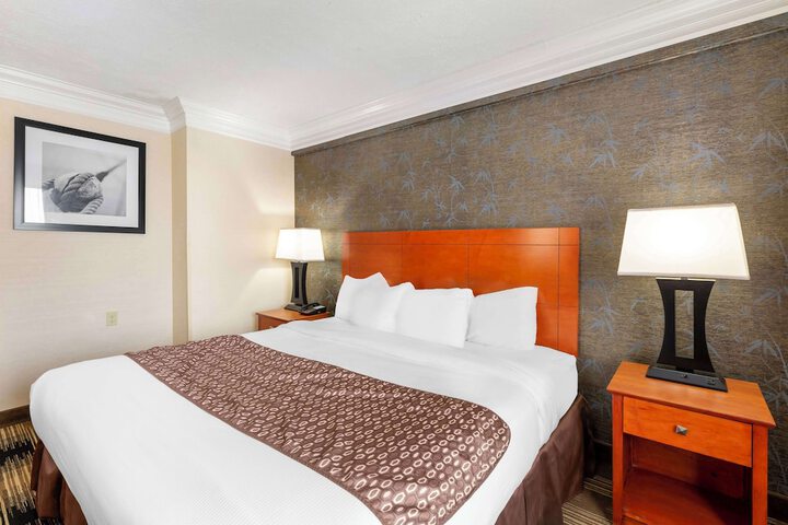 1 King Bed Table and Chairs Refrigerator, Continental Breakfast (10 of 14)