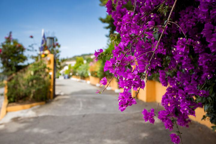 Hotel Santa Lucia in Parghelia