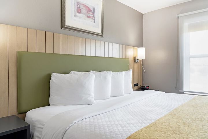 Standard | King Bed (7 of 14)