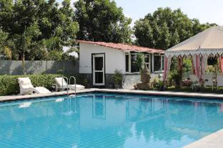 Pagri Resort & Hotel