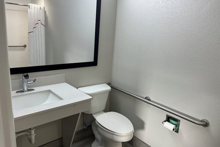 ADA Accessible Deluxe King Roll in Shower (9 of 13)