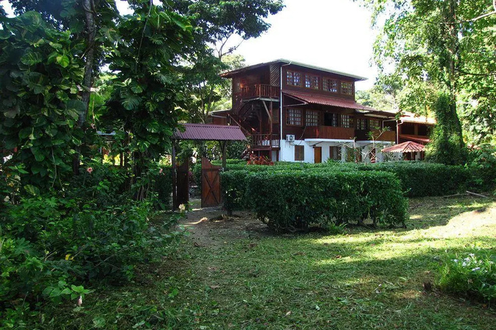 Photo 21