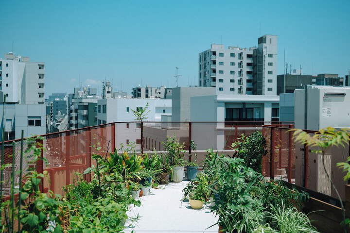 Terrace/Patio 34 of 34