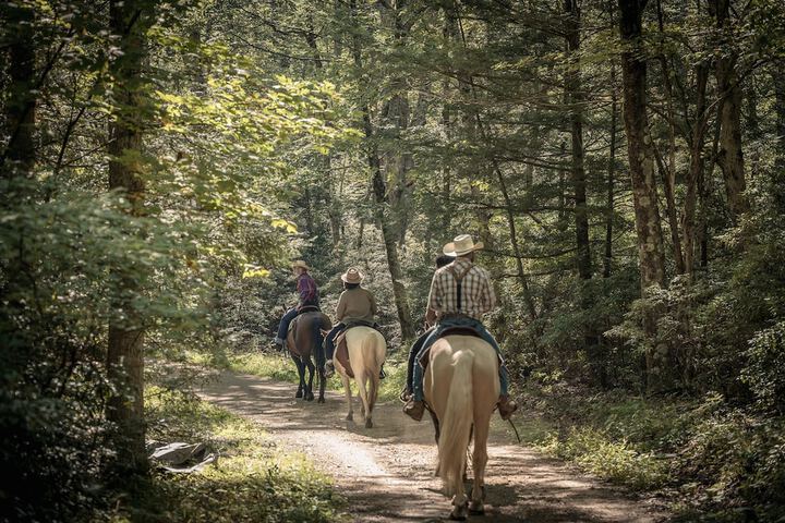 Horseback riding